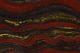 Polished Tiger Iron Stromatolite - Billion Years #129260-1
